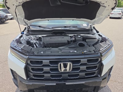 2026 Honda Pilot Sport