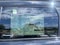 2026 Honda CR-V Hybrid 2WD Sport