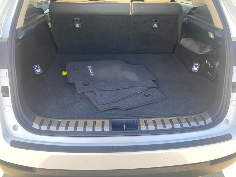 2018 Lexus NX 300 NX 300