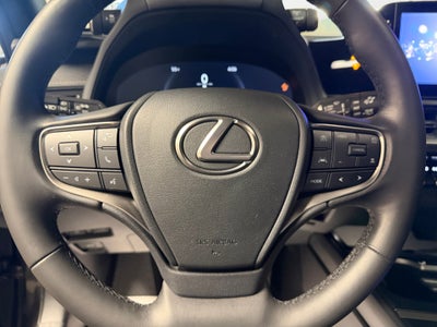 2025 Lexus UX 300h F SPORT Design