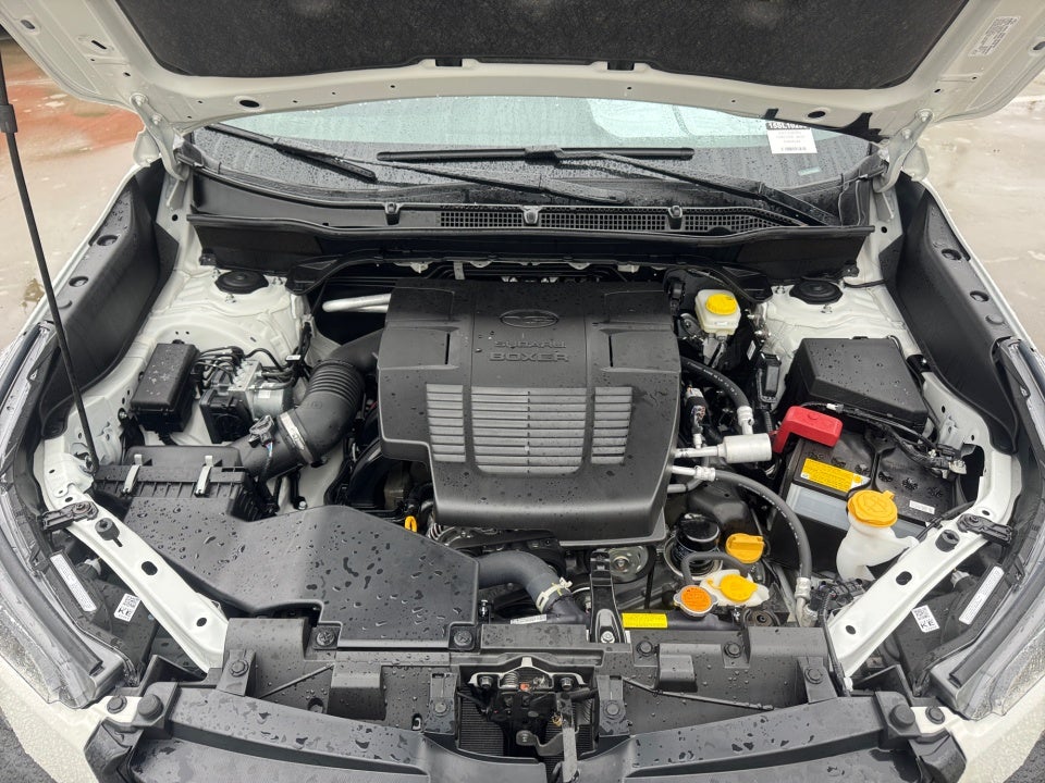 2025 Subaru Forester Wilderness