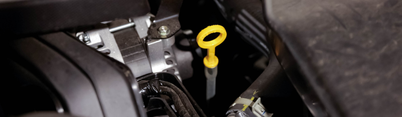 Oil Change Special