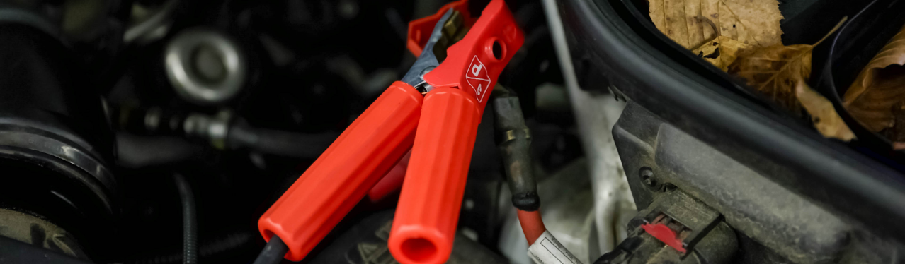 Free Battery Check